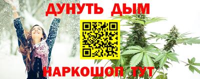 мдпв Ярославль