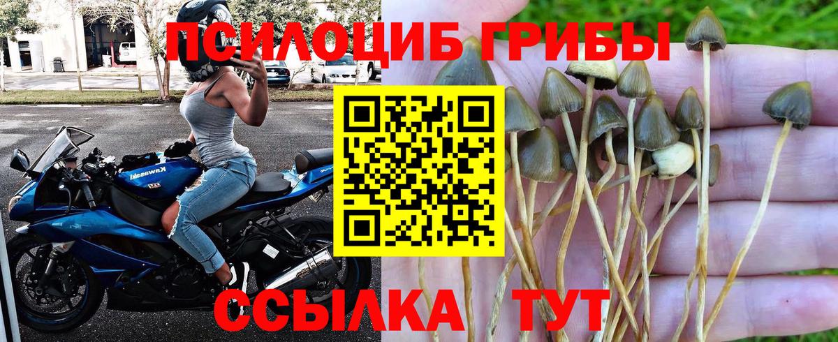 Галлюциногенные грибы GOLDEN TEACHER Белгород