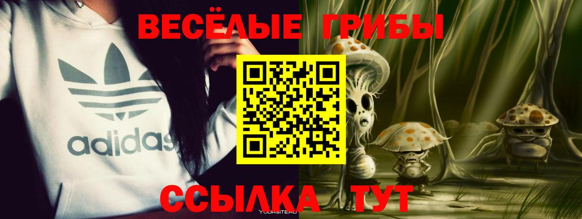 Белгород  Галлюциногенные грибы прущие грибы  Вход с VPN 